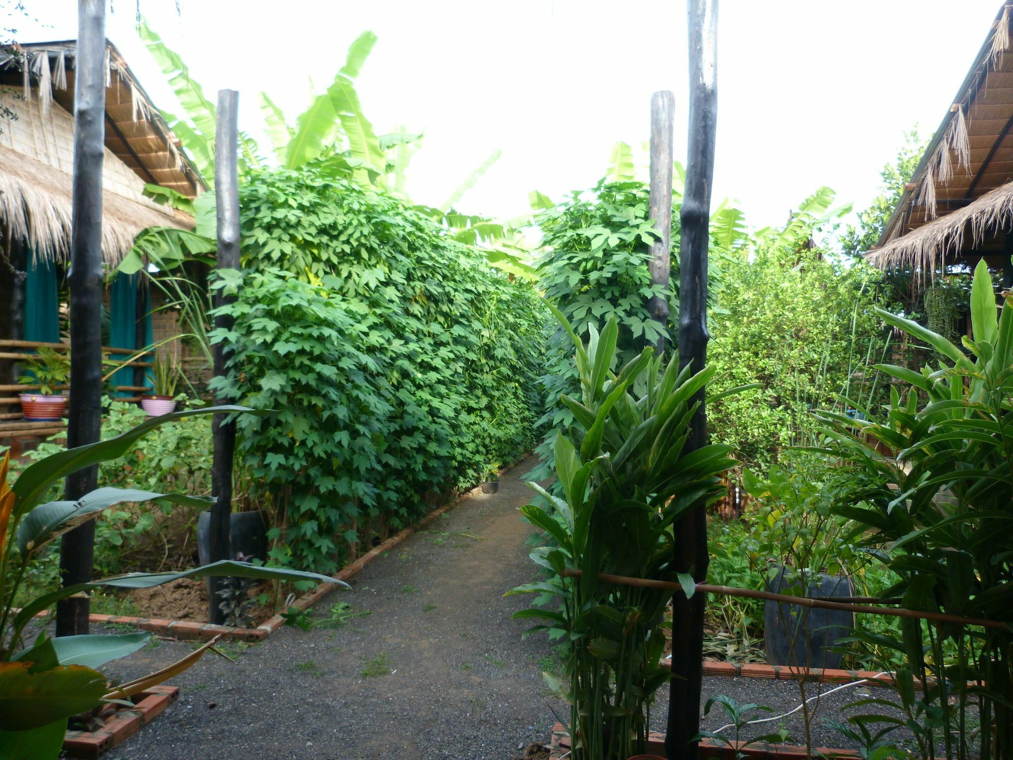 Battambang Dream Bungalows 外观 照片
